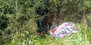 Elementos de seguridad destruyeron campamento de presuntos delincuentes en Cuauhtémoc