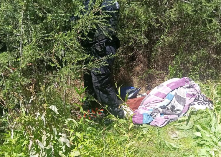 Elementos de seguridad destruyeron campamento de presuntos delincuentes en Cuauhtémoc