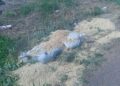 Aseguran 233 kilos de explosivos en Zacatequillas, Aguascalientes