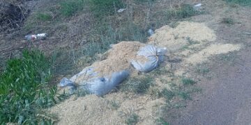 Aseguran 233 kilos de explosivos en Zacatequillas, Aguascalientes