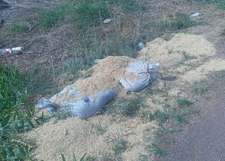 Aseguran 233 kilos de explosivos en Zacatequillas, Aguascalientes