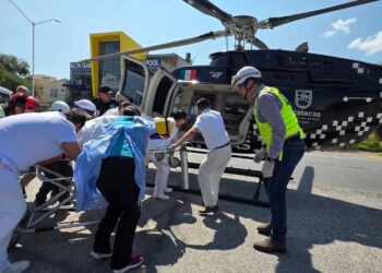 Niño recibe una patada de caballo en la cabeza y es trasladado de emergencia en helicóptero