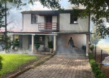 Detecta SSZ 7 nuevos casos autóctonos de dengue en Juchipila y Fresnillo