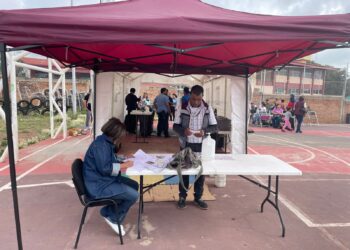 Esterilización canina, parte de acciones para generar cuidado a mascotas en Guadalupe