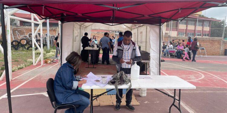 Esterilización canina, parte de acciones para generar cuidado a mascotas en Guadalupe