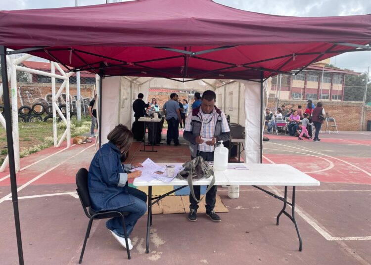 Esterilización canina, parte de acciones para generar cuidado a mascotas en Guadalupe